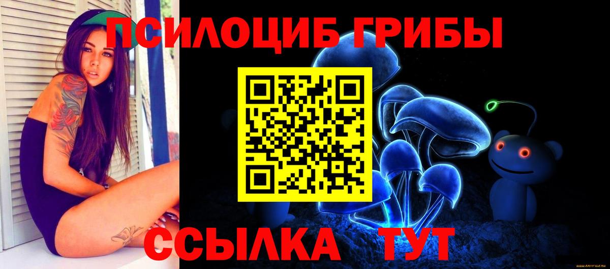 Псилоцибиновые грибы Cubensis  Вход с VPN  Семёнов 